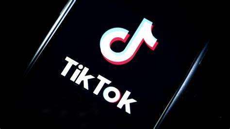 总结：关于 TikTok营销人员应该知道的广告打法