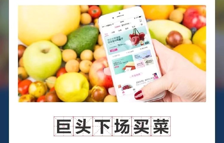 买菜之役，互联网巨头的又一块拼图