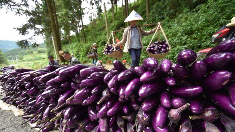 <b>仅餐饮业7天损失5000多亿人民币？零售业要这么打持久战</b>
