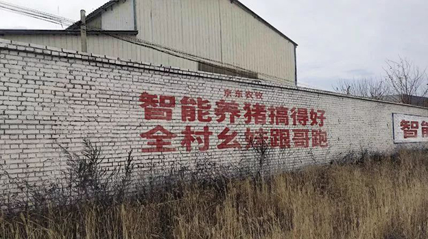 互联网时代的标语5