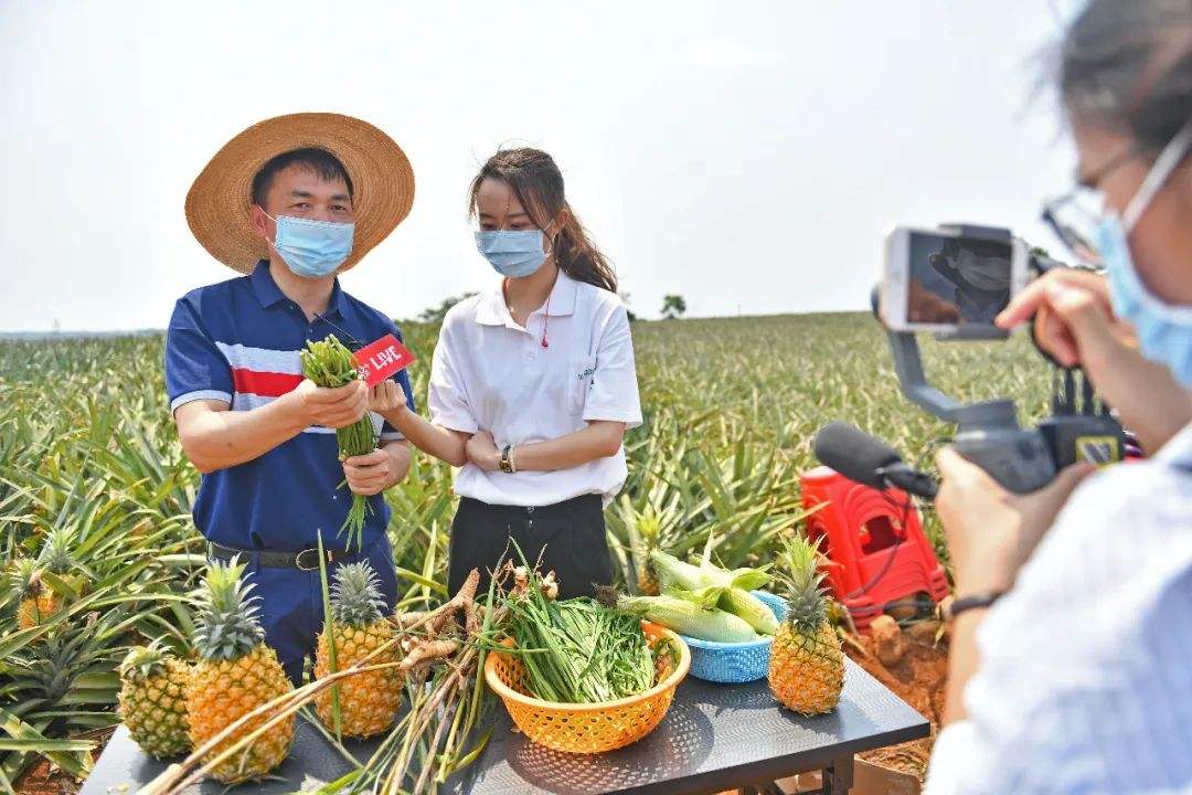 农业农村部：探索直播电商等新模式加强农产品网络营销