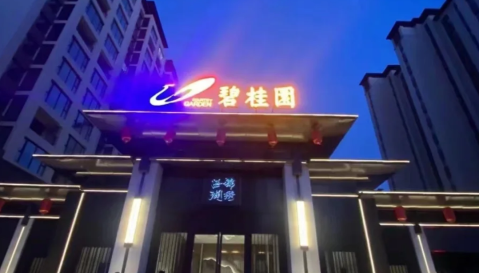 碧桂园“二小姐”杨惠妍，迎来关键一战