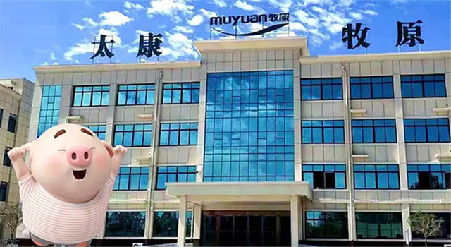 河南首富，熬出头了？