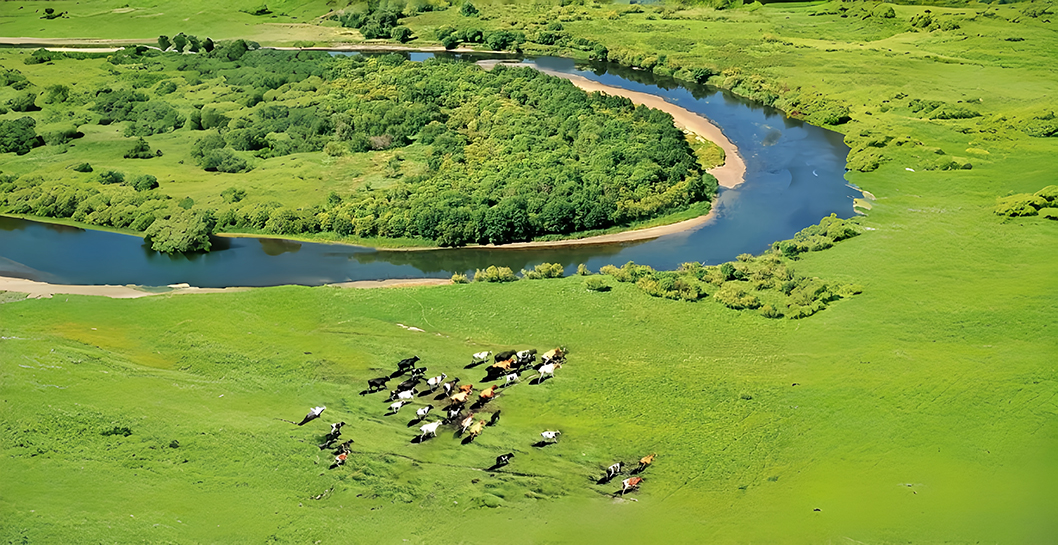 内蒙古自治区首次携手“品牌强国工程” ，开启高质量发展新篇